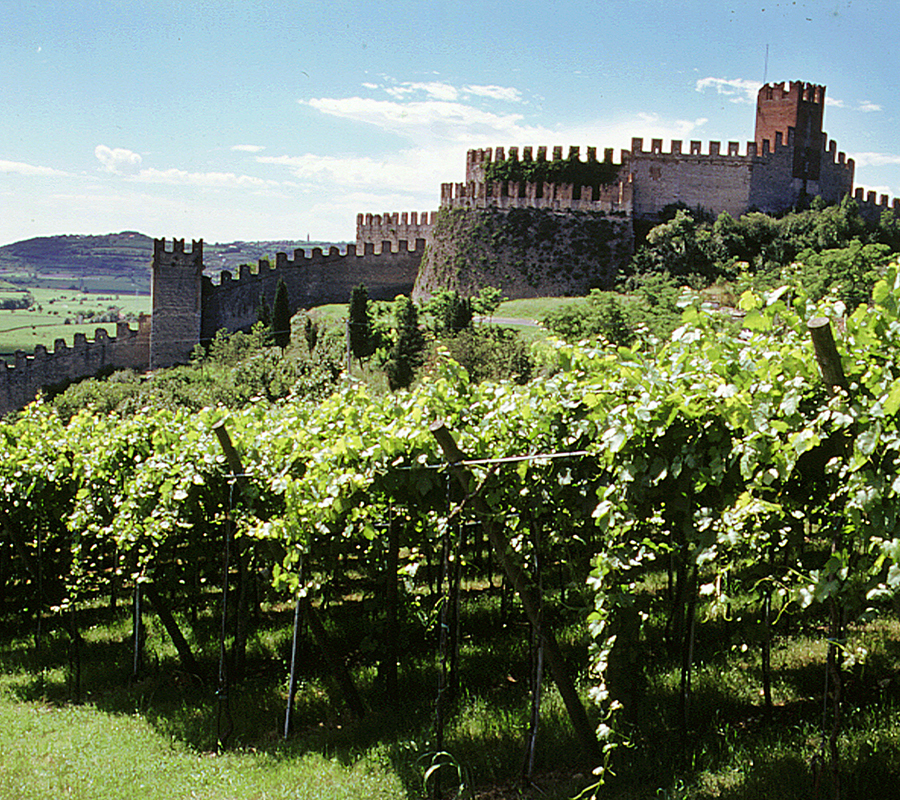 Visite privée à Castelli Romani